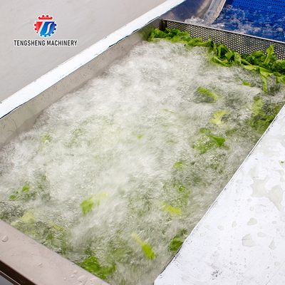 380V Integrating Spinach Washing Machine , Blasting Isolating Potato Cleaning Machine