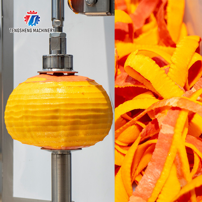 1.0KW 120KG Direct selling vertical single knife peeler pumpkin peeler stainless steel
