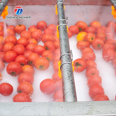 2.5KW Potato Flat Roller Cleaning Equipment Seafood Cleaning Machine