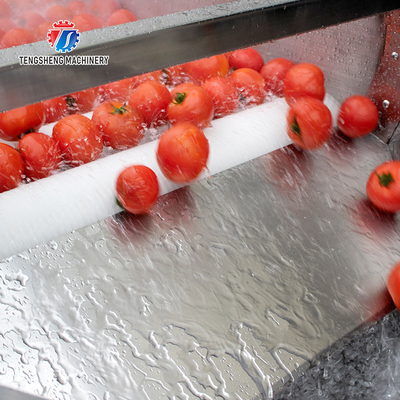 2.5KW Potato Flat Roller Cleaning Equipment Seafood Cleaning Machine