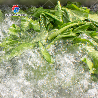 Ozone Disinfection Bubble Fruit And Vegetable Washing Machine 3.5KW 50HZ 380V