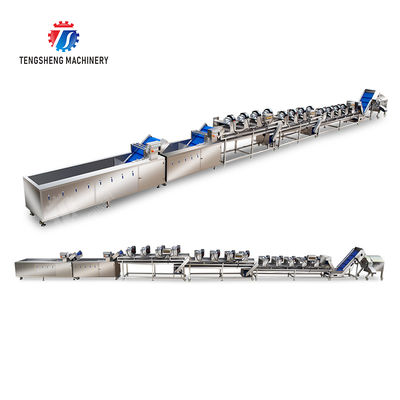 Orange Potato  Potatoes round tuber crops Carrots and longitudinal root vegetables Onions Cabbage varieties Fruiting veget Large-scale fruit and vegetable washing drying and cutting production line