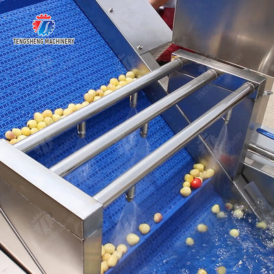 Orange Potato  Potatoes round tuber crops Carrots and longitudinal root vegetables Onions Cabbage varieties Fruiting veget Large-scale fruit and vegetable washing drying and cutting production line