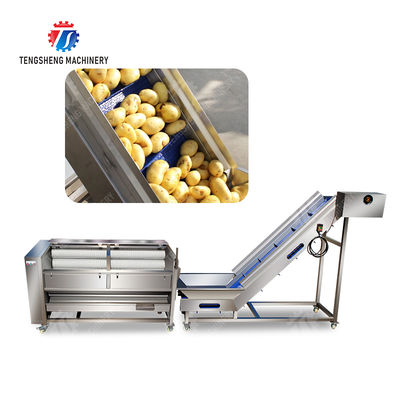 Brush washing and hoisting production line Ginger Potato Carrot Taro Sweet potato Yam processing production Machine