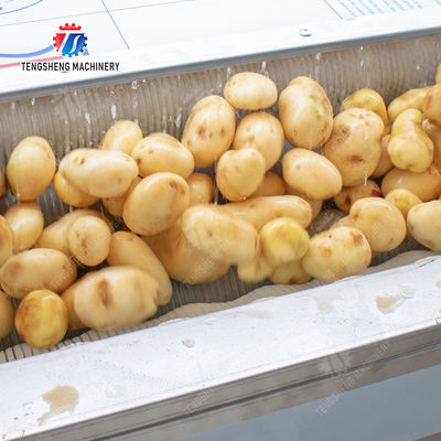 Brush washing and hoisting production line Ginger Potato Carrot Taro Sweet potato Yam processing production Machine