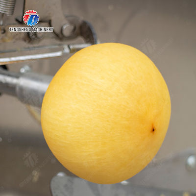 Persimmon peeling machine processing production Supplying Machine