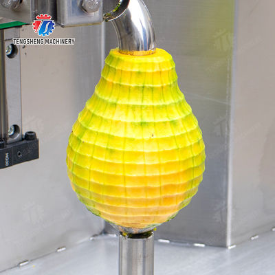 Single knife peeling machine papaya chieh-qua pumpkin wax gourd Taro Peeling polishing processing production