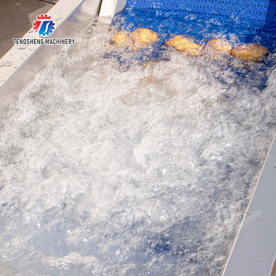 Passion Fruit Kiwi Fruit Mango Strawberry lemon ginger kale Celery apple Tomato orange Baby Cabbage Chinese Cabbage Cabbage corn chili Washer Washing Dryer  Pre-foaming elevator