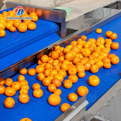 1500KG/H Orange Selection Fruit And Vegetable Processing Line