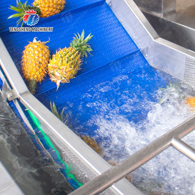 vegetable wash line pineapple juice processing line Pineapple bubble washing and vibrating air-drying line fruit processing machinery pineapple processing line
