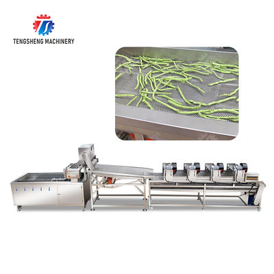 4.5KW Fruit And Vegetable Processing Line Vibration Draining Equipment