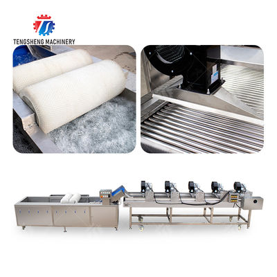 Fruits cleaning and drying production line Fruit Vegetable FOOD processing production Machine
