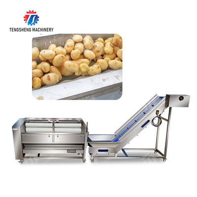 Brush washing and hoisting production line Ginger Potato Carrot Taro Sweet potato Yam processing production Machine