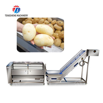 Brush washing and hoisting production line Ginger Potato Carrot Taro Sweet potato Yam processing production Machine