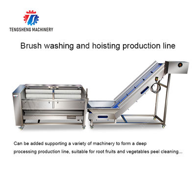 Brush washing and hoisting production line Ginger Potato Carrot Taro Sweet potato Yam processing production Machine