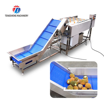 Orange Potato  Onions Ginger Potato Carrot Taro Sweet potato Yam Saiko persimmon papaya horseshoe Simple melon and fruit lifting and brush roller cleaning production line