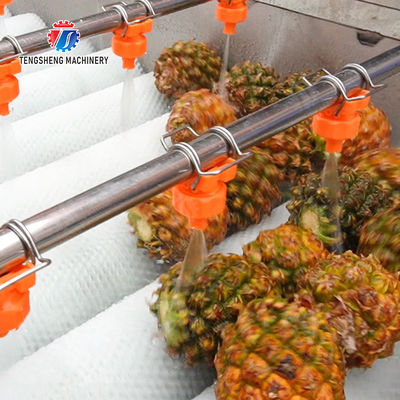 Orange Potato  Onions Ginger Potato Carrot Taro Sweet potato Yam Saiko persimmon papaya horseshoe Simple melon and fruit lifting and brush roller cleaning production line