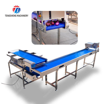 Conveyor Production Line Simplified Orange Potato  Onions Ginger Potato Carrot Taro Sweet potato Yam Saiko persimmon papaya horseshoe processing production Grading Transporting Machine