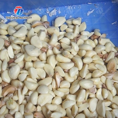 Onion peeling machine onion garlic Onions processing production line