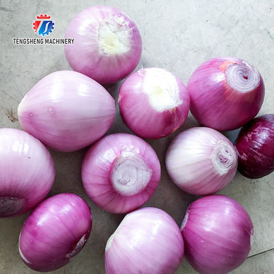 Onion peeling machine onion garlic Onions processing production line