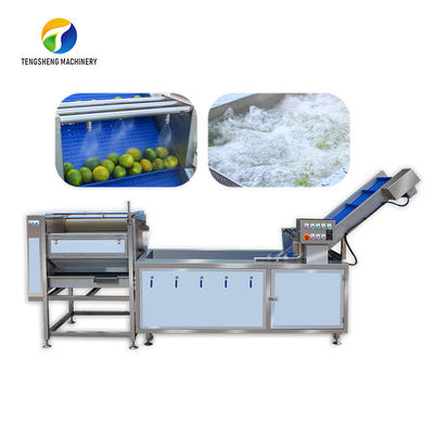 Черенок цитруса исключило лимон обрабатывая щетку воздушного пузыря машинного оборудования промышленную