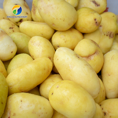 Potato Carrot Taro Garlic Slicing Machine Electric Bamboo Slicer